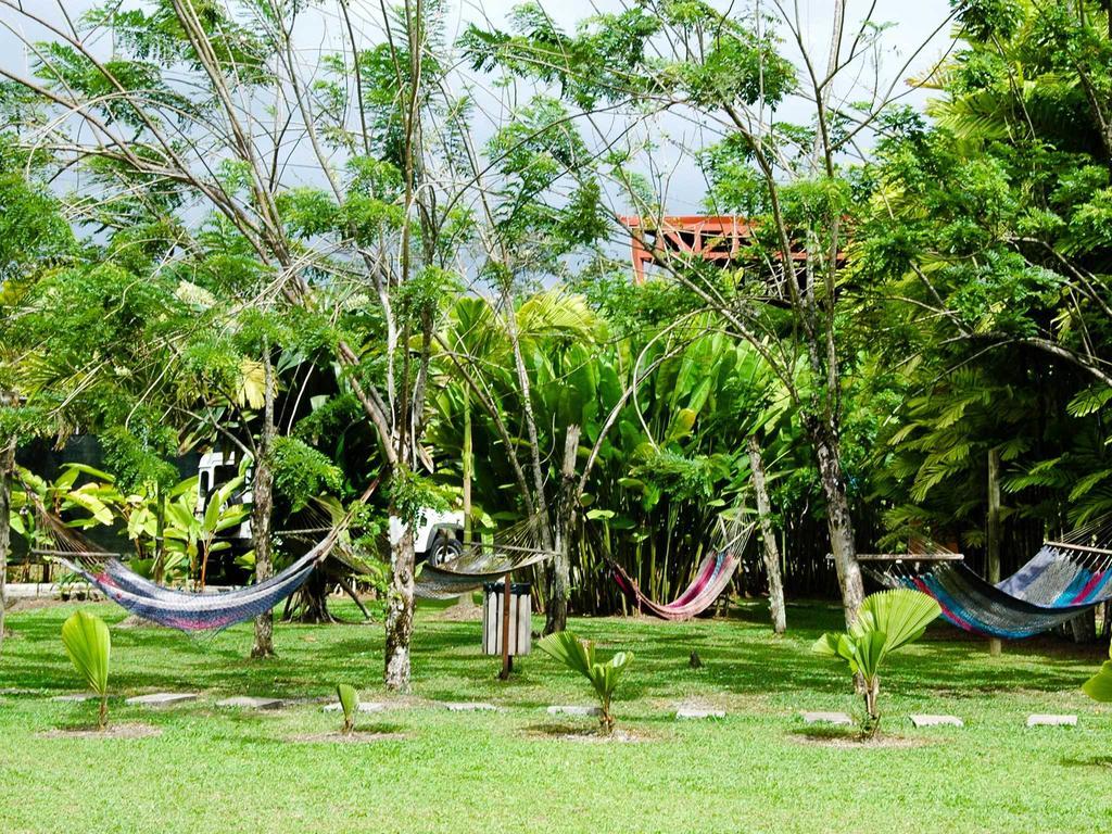 Arenal Backpackers Resort La Fortuna ภายนอก รูปภาพ Hammocks in the garden of a hostel in Central America