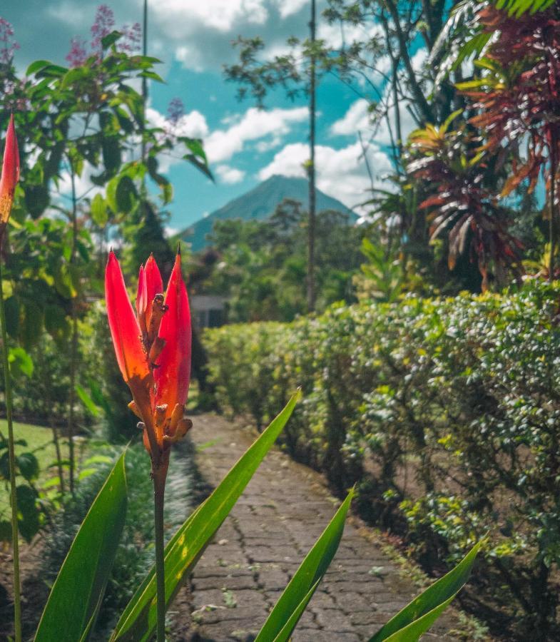 Arenal Backpackers Resort La Fortuna ภายนอก รูปภาพ A view of Mount Apo