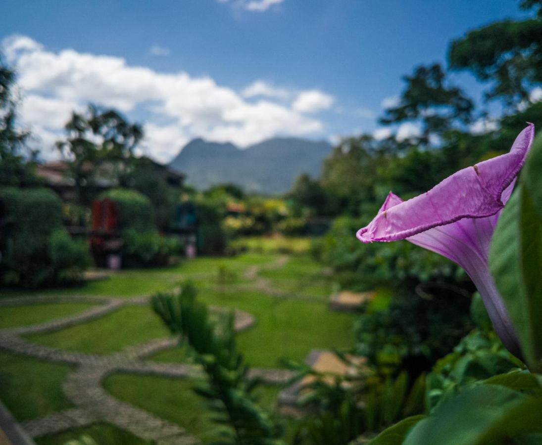 Arenal Backpackers Resort La Fortuna ภายนอก รูปภาพ View of the San Juan Mountains from the San Juan del Monte