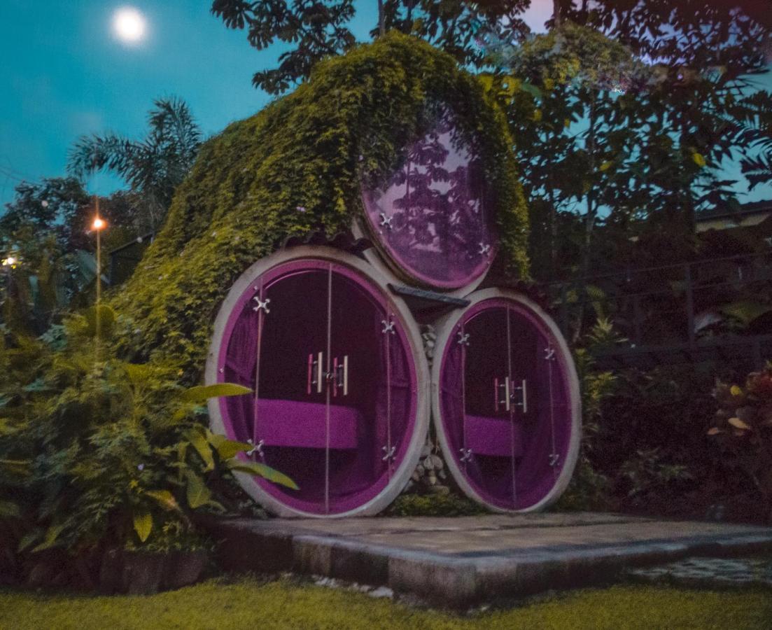 Arenal Backpackers Resort La Fortuna ภายนอก รูปภาพ The Hobbit Hole