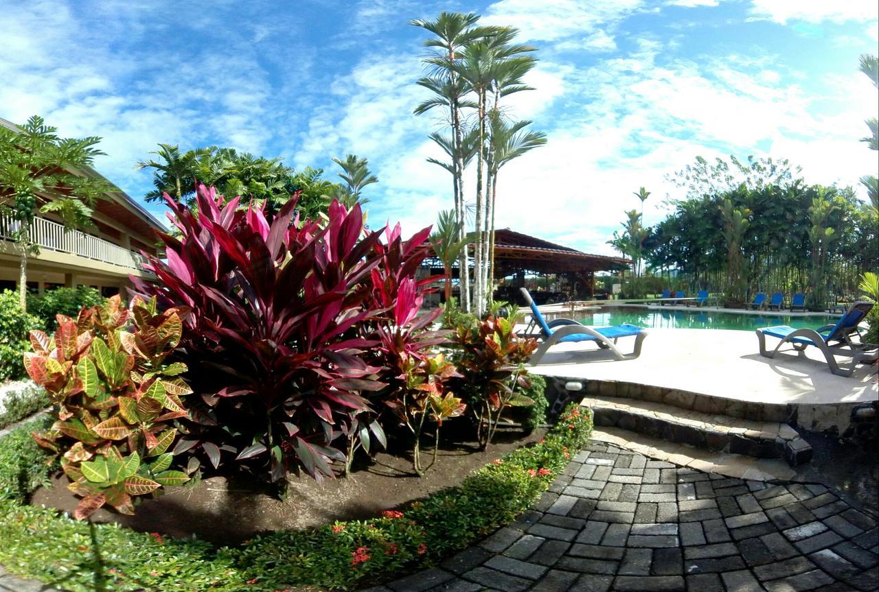 Arenal Backpackers Resort La Fortuna ภายนอก รูปภาพ The pool at the resort