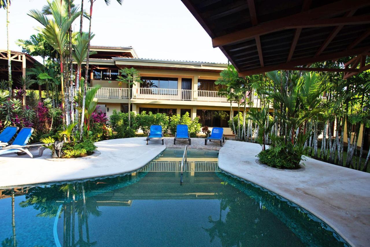 Arenal Backpackers Resort La Fortuna ภายนอก รูปภาพ The swimming pool at the hotel