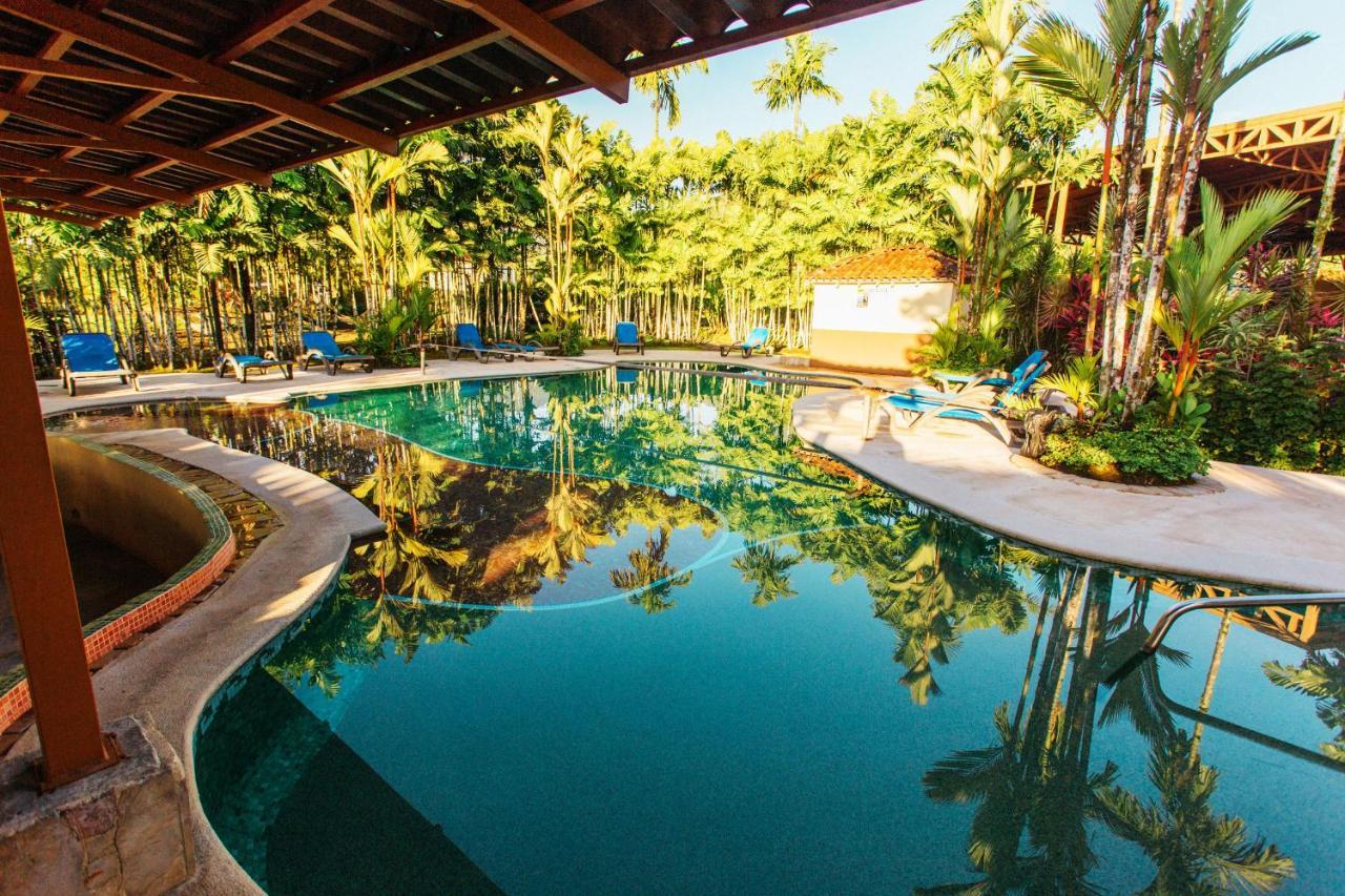 Arenal Backpackers Resort La Fortuna ภายนอก รูปภาพ The swimming pool at the resort